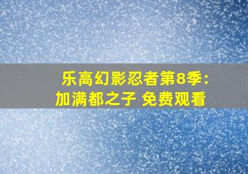 乐高幻影忍者第8季:加满都之子 免费观看